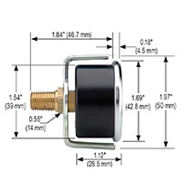 100 Series 0 to 100 psi Pressure Range Acrylonitrile Butadiene Styrene (ABS) and Steel Case Dry Pressure Gauge (15-120-100-psi/kPa)