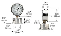 10 Series 0 to 60 psig Pressure Range Heavy-Duty Sanitary Pressure Gauge (100-16-1-25-46-0-0)