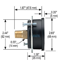 100 Series 0 to 1,000 psi Pressure Range Acrylonitrile Butadiene Styrene (ABS) and Steel Case Dry Pressure Gauge with Panel Mount Clamp (25-110-1,000-psi/kPa)