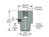 2 in. Process Connection Size Type 20 Front Flush, Non-Replaceable Diaphragm Seal (20-04S-S-16)