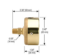 300 Series 2-1/2 in. Size Brass Case Liquid Filled Pressure Gauge (25-310-10000-psi)