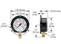 100 Series 0 to 1,000 psi Pressure Range Acrylonitrile Butadiene Styrene (ABS) and Steel Case Dry Pressure Gauge with Rear Flange (25-100-1000-psi/kPa)