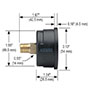 100 Series 0 to 100 psi Pressure Range Acrylonitrile Butadiene Styrene (ABS) and Steel Case Dry Pressure Gauge (20-110-100-psi/bar)
