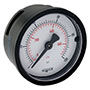 100 Series 0 to 100 psi Range Acrylonitrile Butadiene Styrene (ABS) and Steel Case Dry Pressure Gauge (20-110-100-psi/bar)