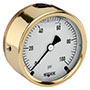 300 Series 2-1/2 in. Gauge Size Brass Case Liquid Filled Pressure Gauge (25-310-10000-psi)