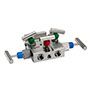 5030 Series 10,000 psi Pressure Rating Natural Gas 5 Manifold Valve with Hard Seat (5030-FFS-FP)