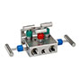 5130 Series 6,000 psi Pressure Rating Natural Gas 5 Manifold Valve with Soft Seat/Tip (5130-FFC)